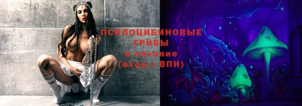 спиды Абаза