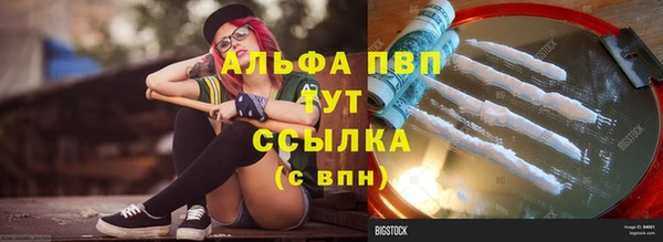 спиды Абаза