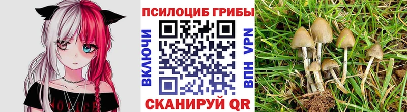 Галлюциногенные грибы Psilocybe МЕГА сайт Киржач