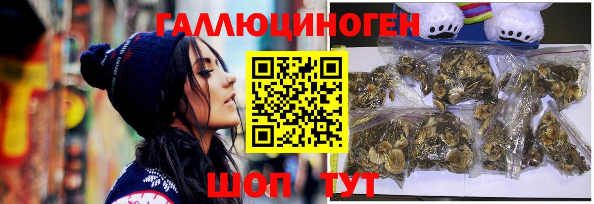 Галлюциногенные грибы Magic Shrooms  Вход с VPN  Киржач  Псилоцибиновые грибы GOLDEN TEACHER 